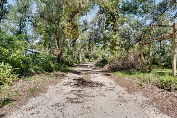 a view of outdoor space with trees all around