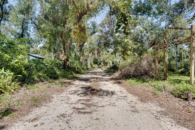 a view of outdoor space with trees all around