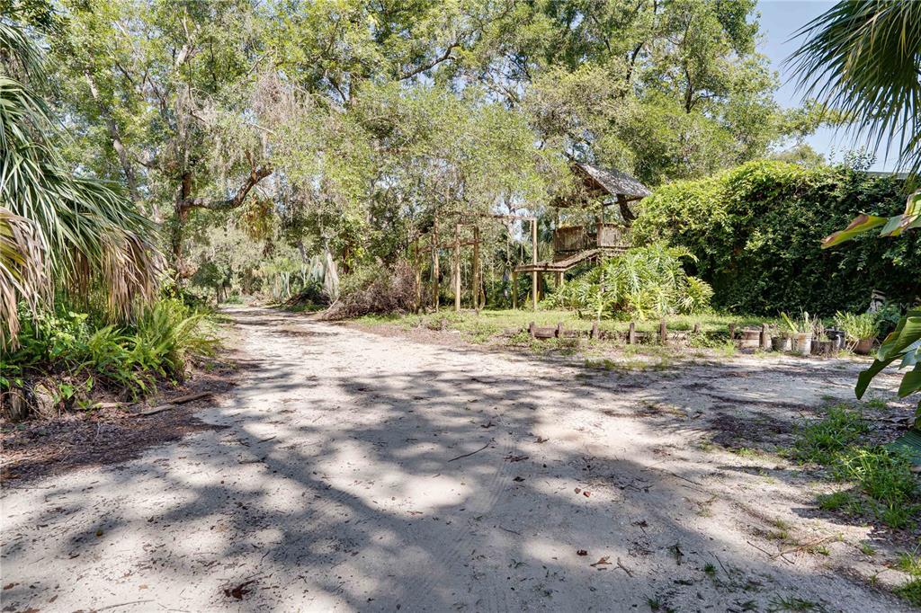 6924 Valrie Lane Riverview, FL 33569 - Photo 8 of 29 a view of dirt yard with a large tree