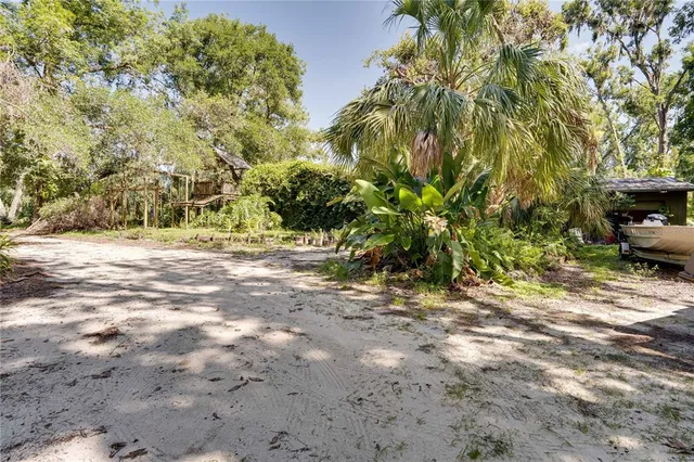 a view of yard with trees