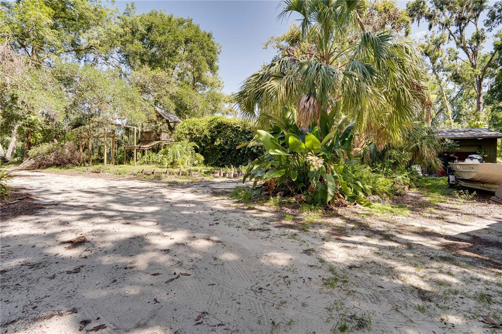 6924 Valrie Lane Riverview, FL 33569 - Photo 9 of 29 a view of yard with trees