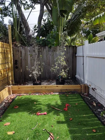 a view of yard with palm trees and a yard