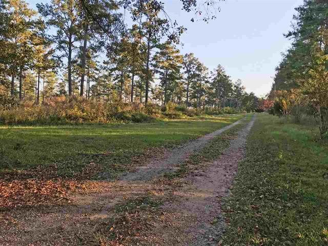 Lot 1 Hidden Pond Road Tallahassee, FL 32317 - Photo 2 of 10 Gallery Image 2