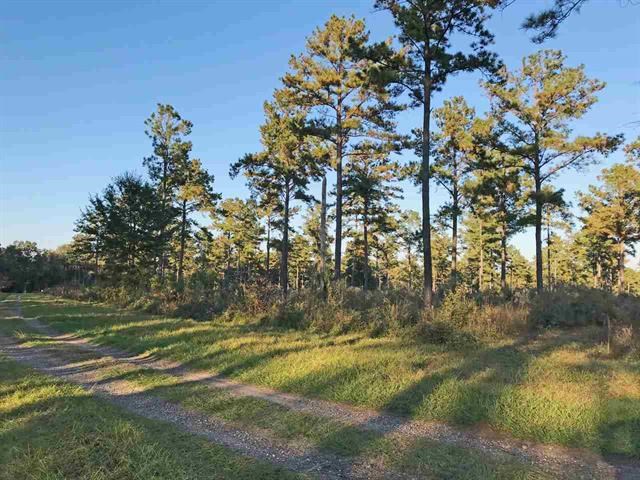 Lot 1 Hidden Pond Road Tallahassee, FL 32317 - Photo 5 of 10 Gallery Image 5