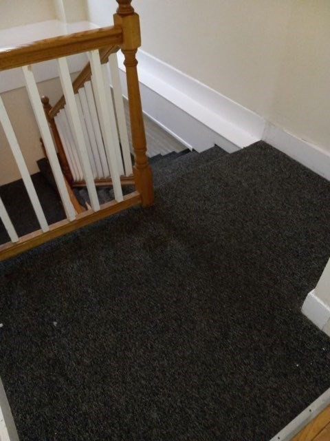 227 Roxbury Street, Unit 2 Boston, MA 02119 - Photo 22 of 23