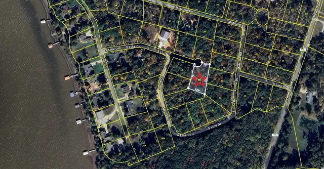 a close up of a plant