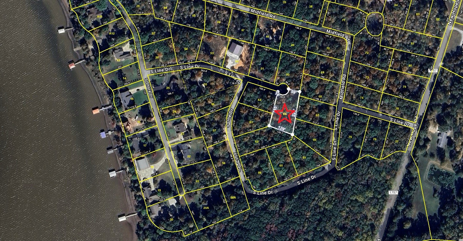 a close up of a plant