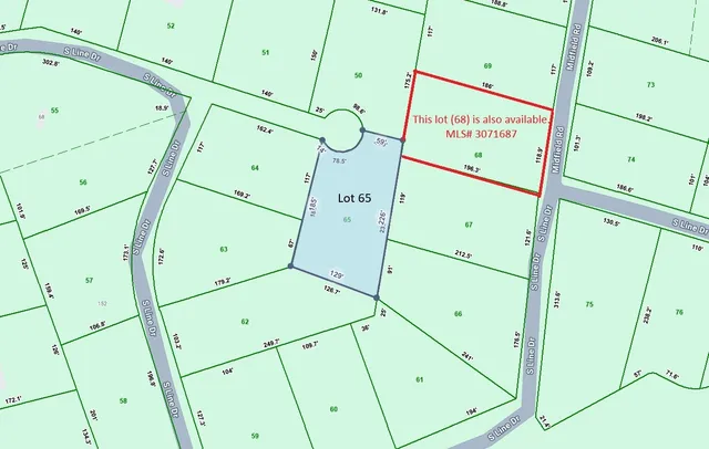 a view of a rug in the floor