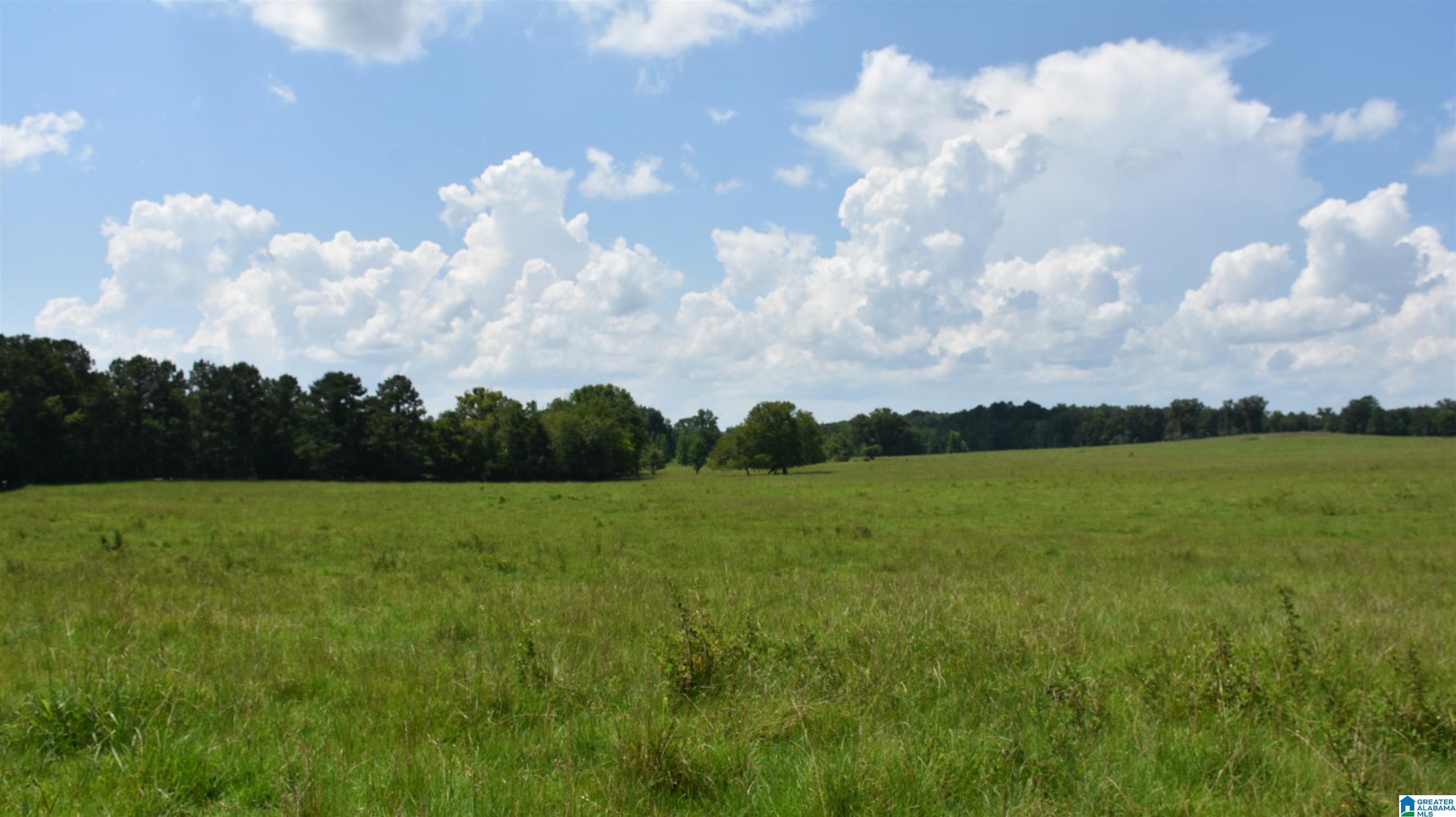0 Risers Mill Road Alpine, AL 35014 - Photo 12 of 25