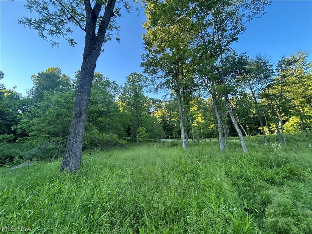 12929 Pleasant Valley Road Northeast Utica, OH 43080 - Photo 33 of 47