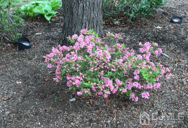 30 Nottingham Road Edison, NJ 08820 - Photo 35 of 36