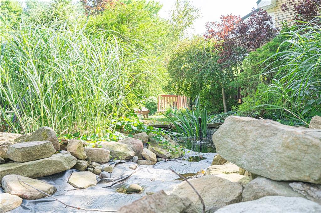372 Halston Road Slippery Rock, PA 16057 - Photo 14 of 25 Little Pond on the side of the home with fish.