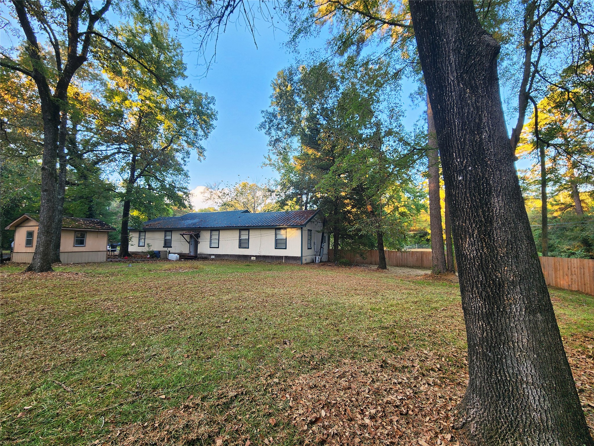 a large tree in front of a white house