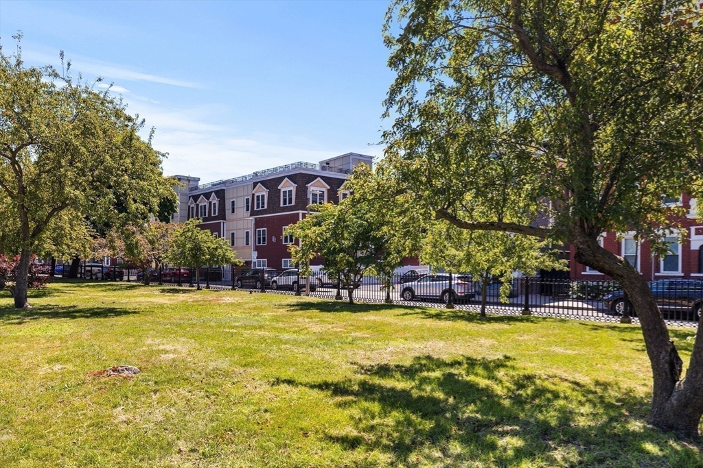 754 East 4th Street, Unit 1 Boston, MA 02127 - Photo 26 of 26