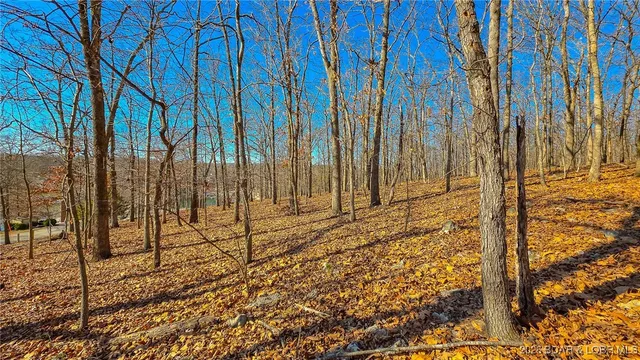 $45,000 | Lot #435 Grand View Drive, Sunrise Beach, MO 65079