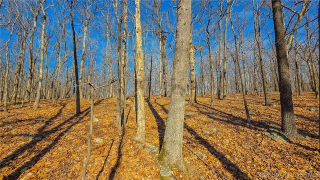 $45,000 | Lot #435 Grand View Drive, Sunrise Beach, MO 65079