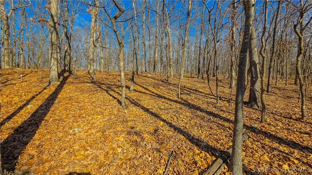 $45,000 | Lot #435 Grand View Drive, Sunrise Beach, MO 65079