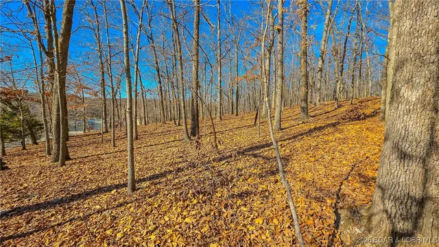$45,000 | Lot #435 Grand View Drive, Sunrise Beach, MO 65079