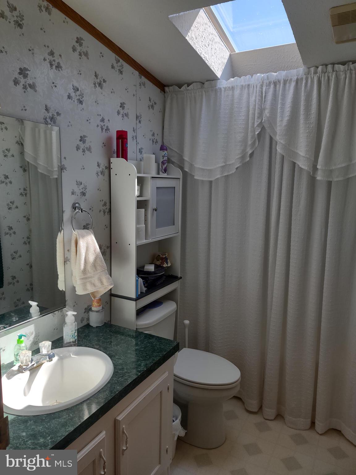 74 Valley Bottom Road Aberdeen, MD 21001 - Photo 14 of 22 hall bathroom with sky light