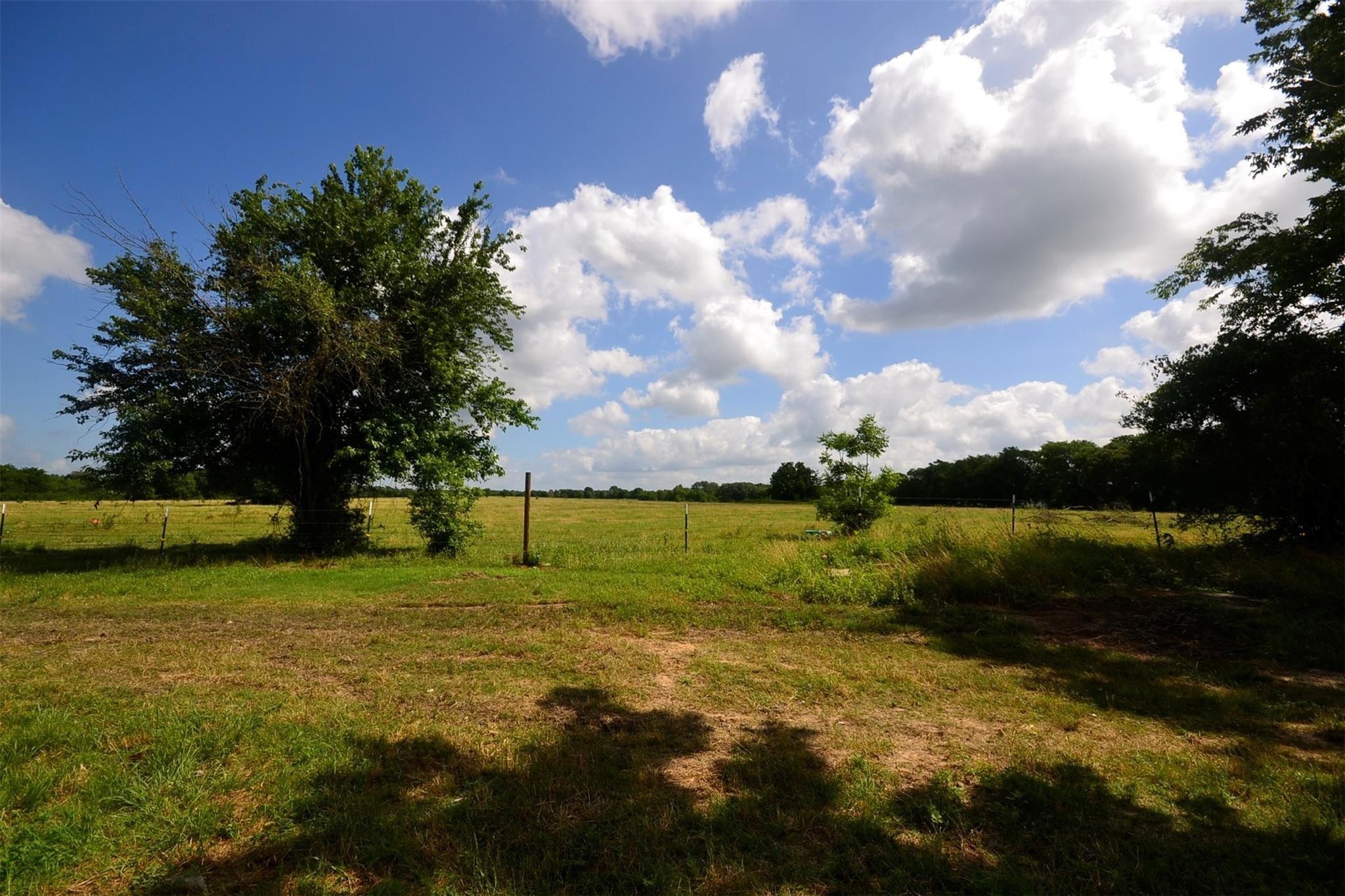 12652 Calvary Road Willis, TX 77318 - Photo 20 of 20 Expansive open field with lush greenery, framed by a large tree, under a bright blue sky with fluffy clouds—a serene rural setting.