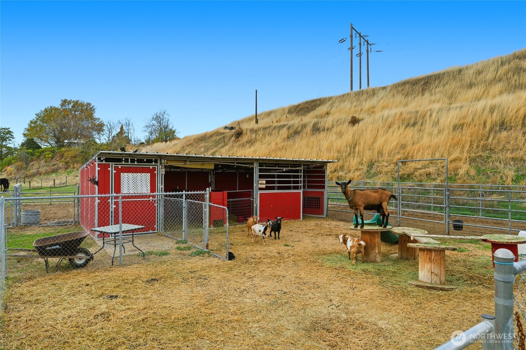 54 Baldwin Road Walla Walla, WA 99362 - Photo 30 of 40