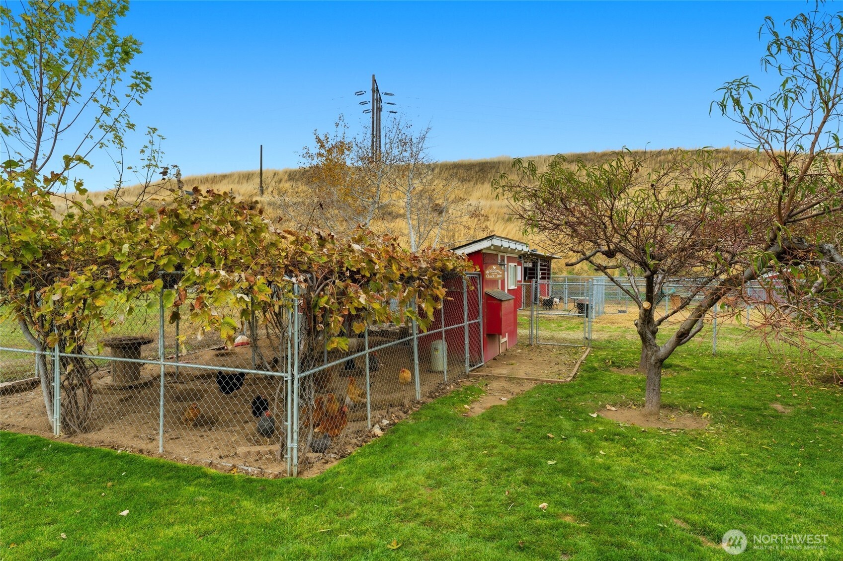 54 Baldwin Road Walla Walla, WA 99362 - Photo 31 of 40