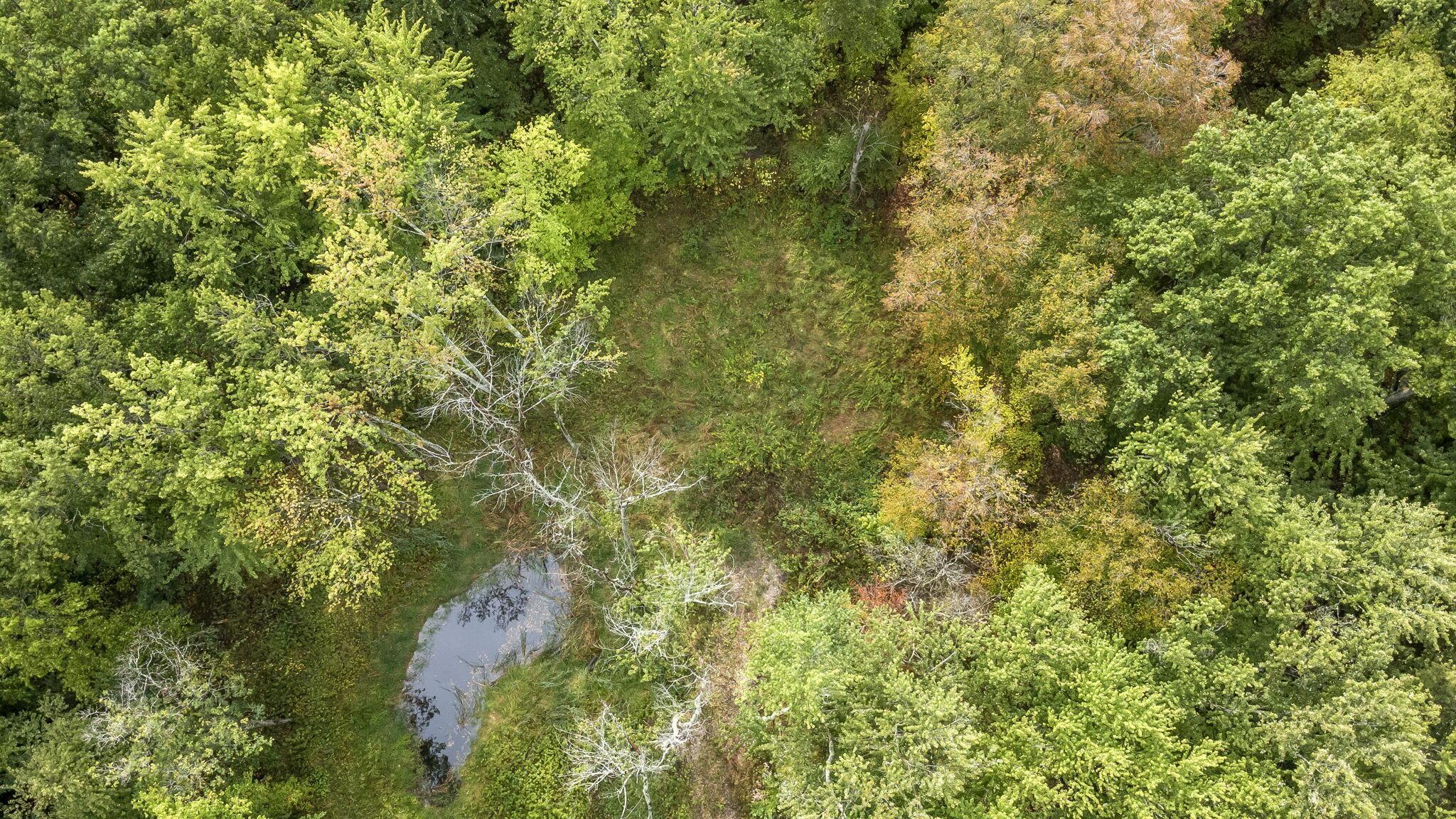0 Babbitt Road New Albany, OH 43054 - Photo 8 of 10 Aerial of property showing clearing & location of pond.