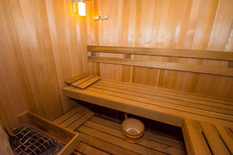 67741 Lost Road Cassopolis, MI 49031 - Photo 56 of 88 67741 Lost Rd Cass Sauna (2)