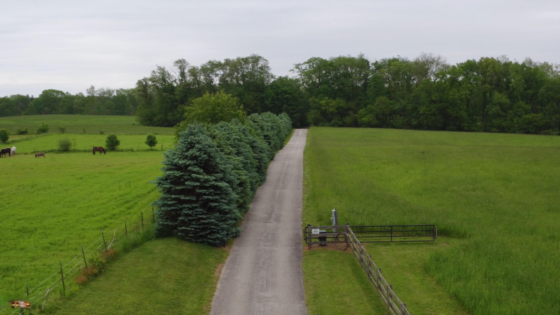 67741 Lost Road Cassopolis, MI 49031 - Photo 72 of 88 Drive Way
