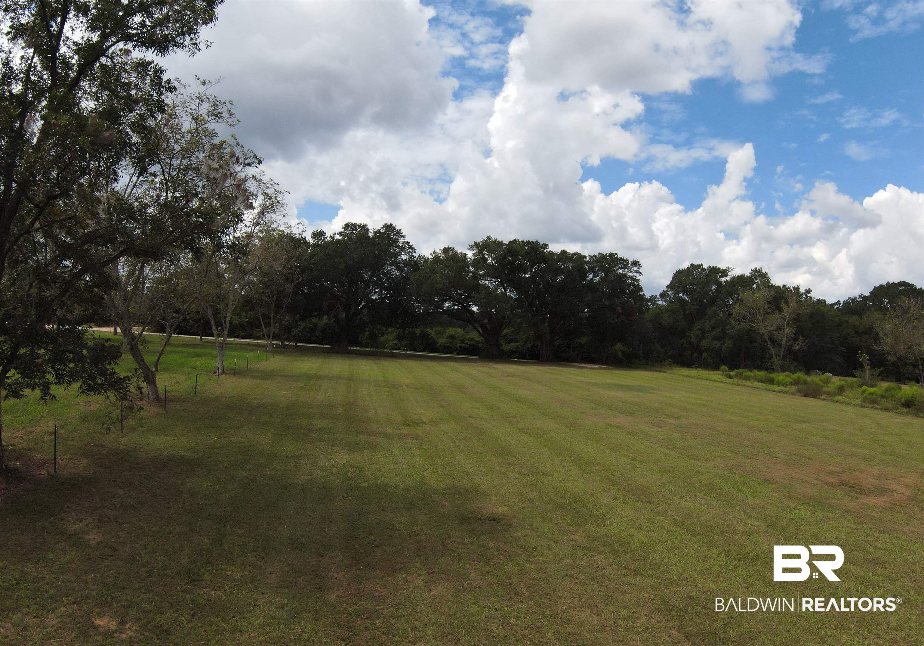 19310 County Road 33 Fairhope, AL 36532 - Photo 4 of 5 View of grassy yard