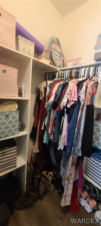 2821 Naco Road Golden Valley, AZ 86413 - Photo 44 of 71 a view of walk in closet with clothes and shoes