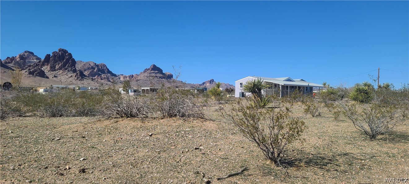 2821 Naco Road Golden Valley, AZ 86413 - Photo 69 of 71 a view of a dry yard with a tree