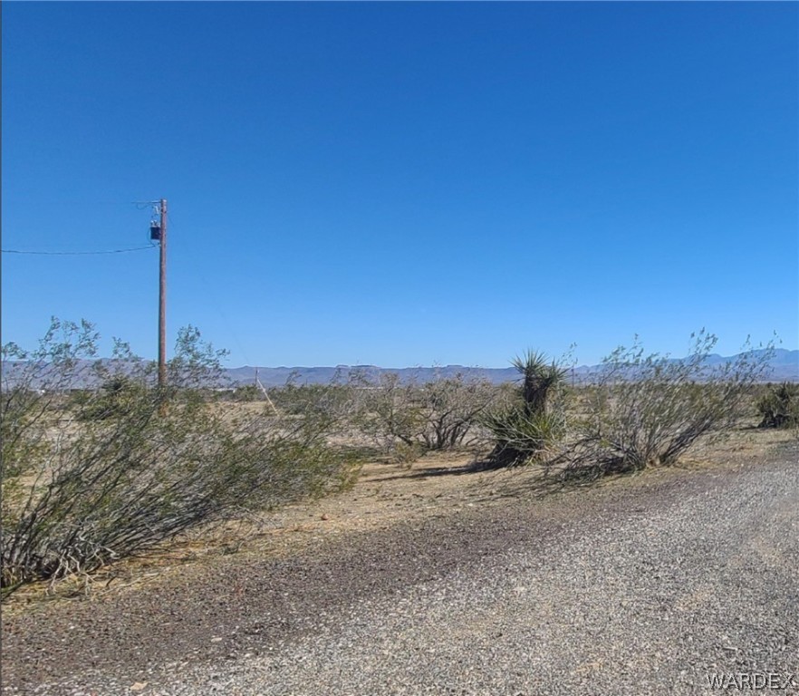 2821 Naco Road Golden Valley, AZ 86413 - Photo 71 of 71 a view of a yard with a tree