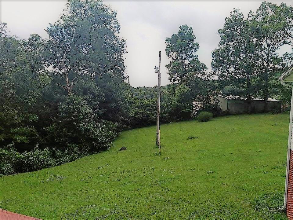 920 Pilot Knob Cemetary Road Berea, KY 40403 - Photo 19 of 37 Photo 19