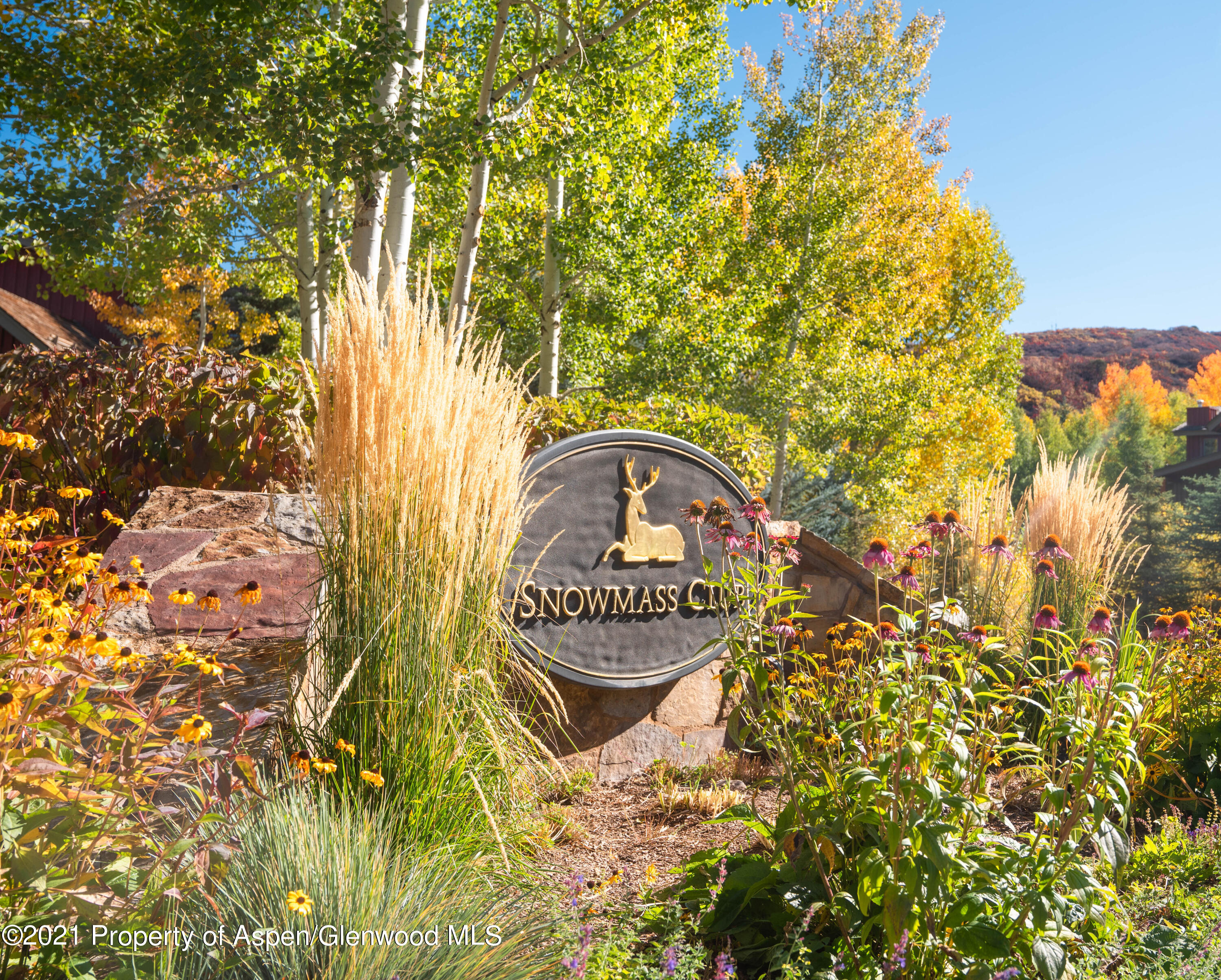 239 Snowmass Club Circle, Unit 111 Snowmass Village, CO 81615 - Photo 19 of 42 a view of garden with wooden fence