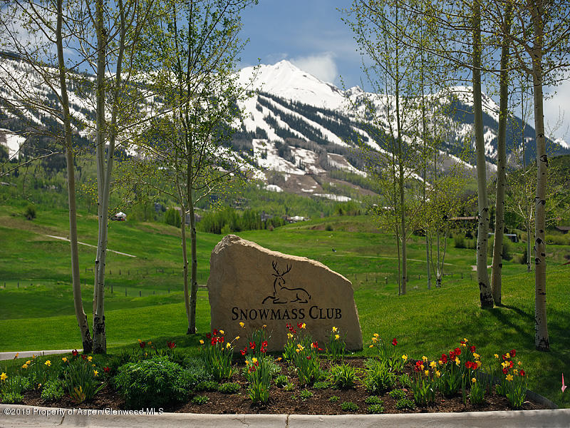239 Snowmass Club Circle, Unit 111 Snowmass Village, CO 81615 - Photo 23 of 42 a view of a garden