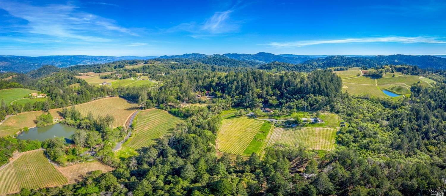 4036 Spring Mountain Road St. Helena, CA 94574 - Photo 1 of 1