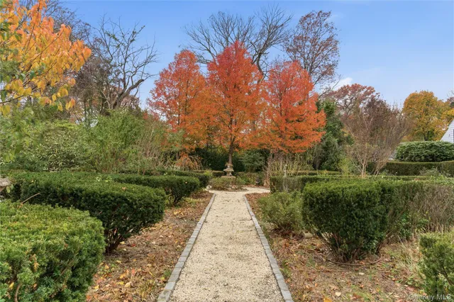 a view of a garden with a flower in a garden