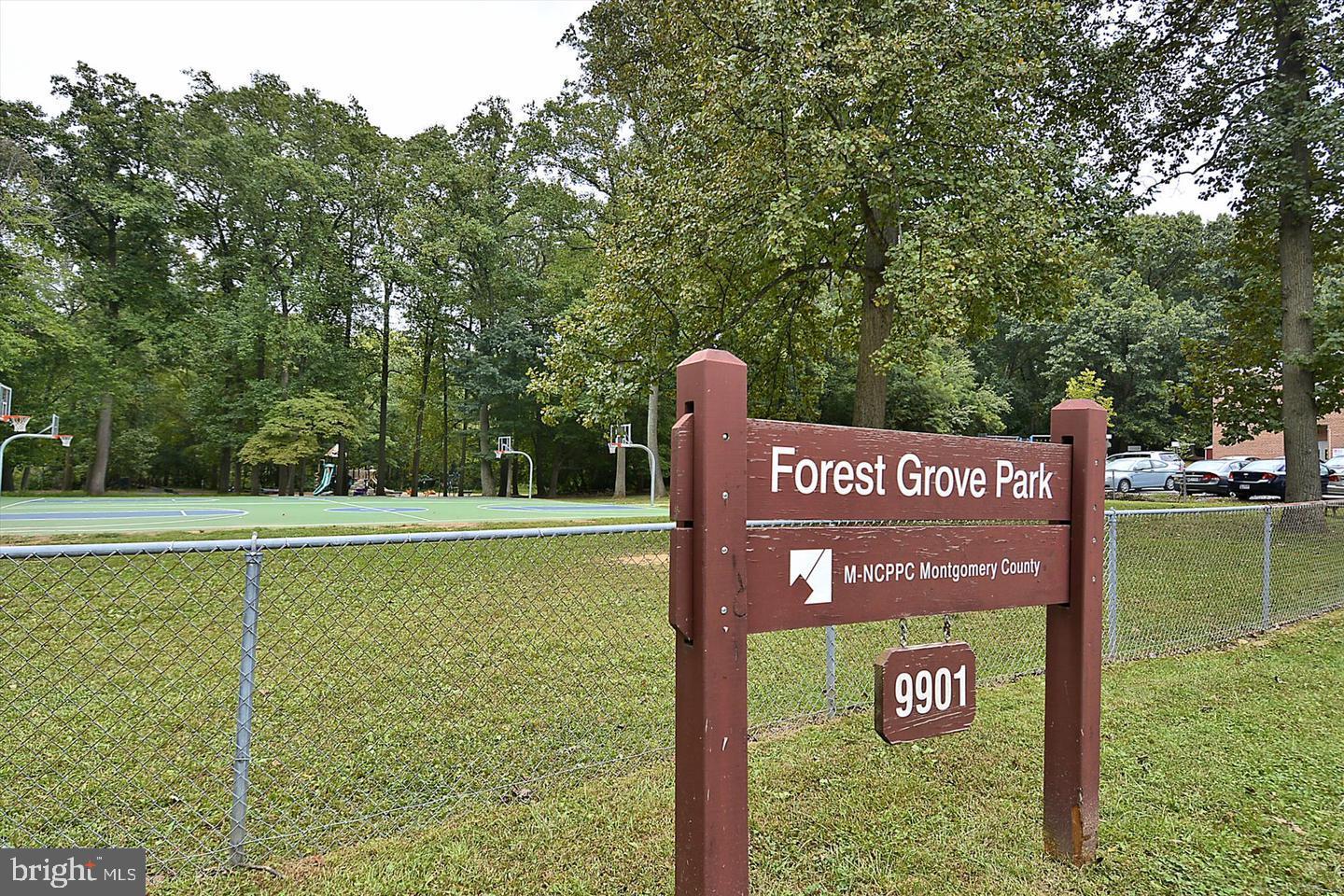 9705 Glen Avenue Silver Spring, MD 20910 - Photo 38 of 43 Enjoy the park