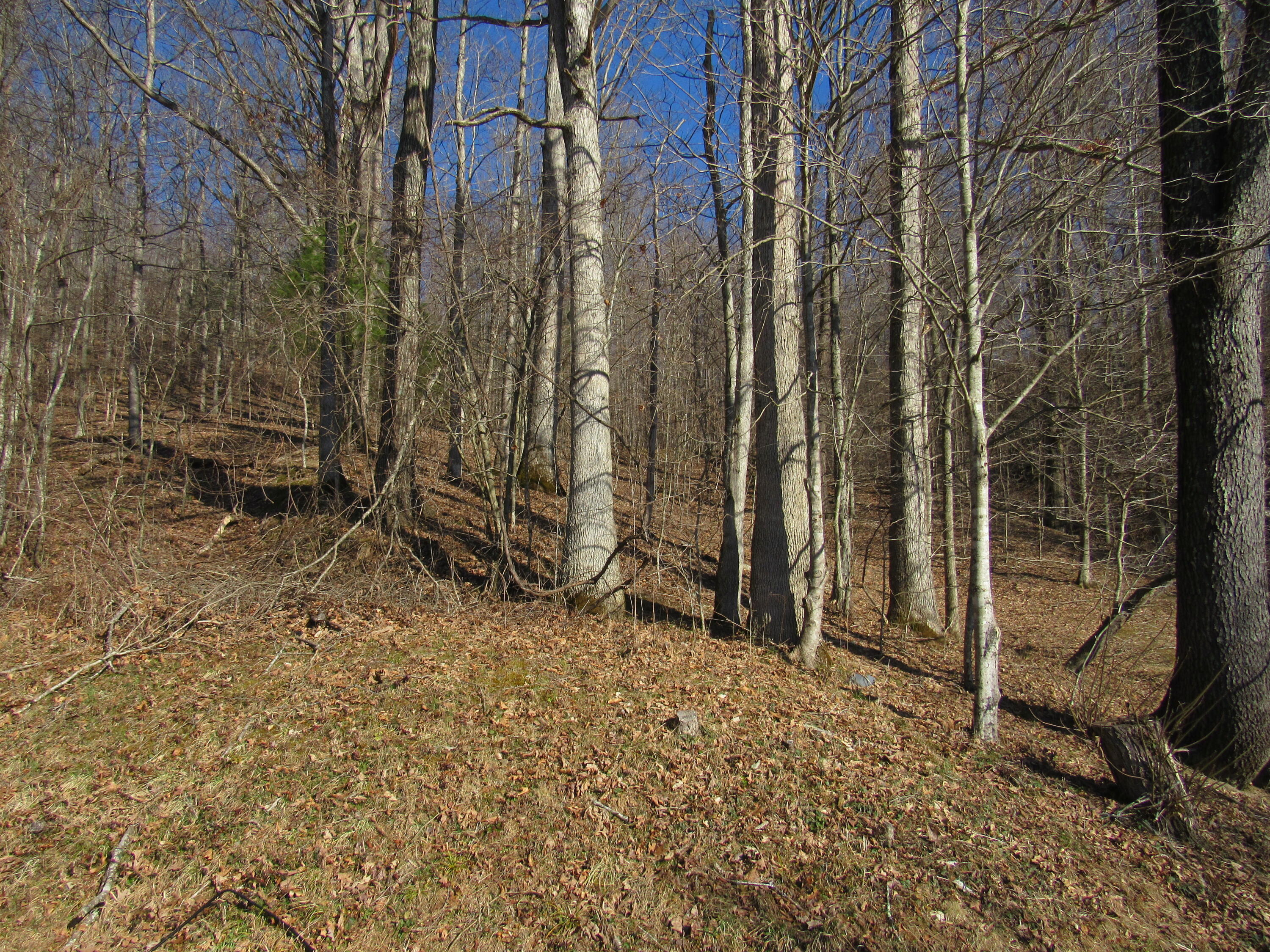 1140 Lower Gilmore Road Campton, KY 41301 - Photo 29 of 32 28-IMG_8568