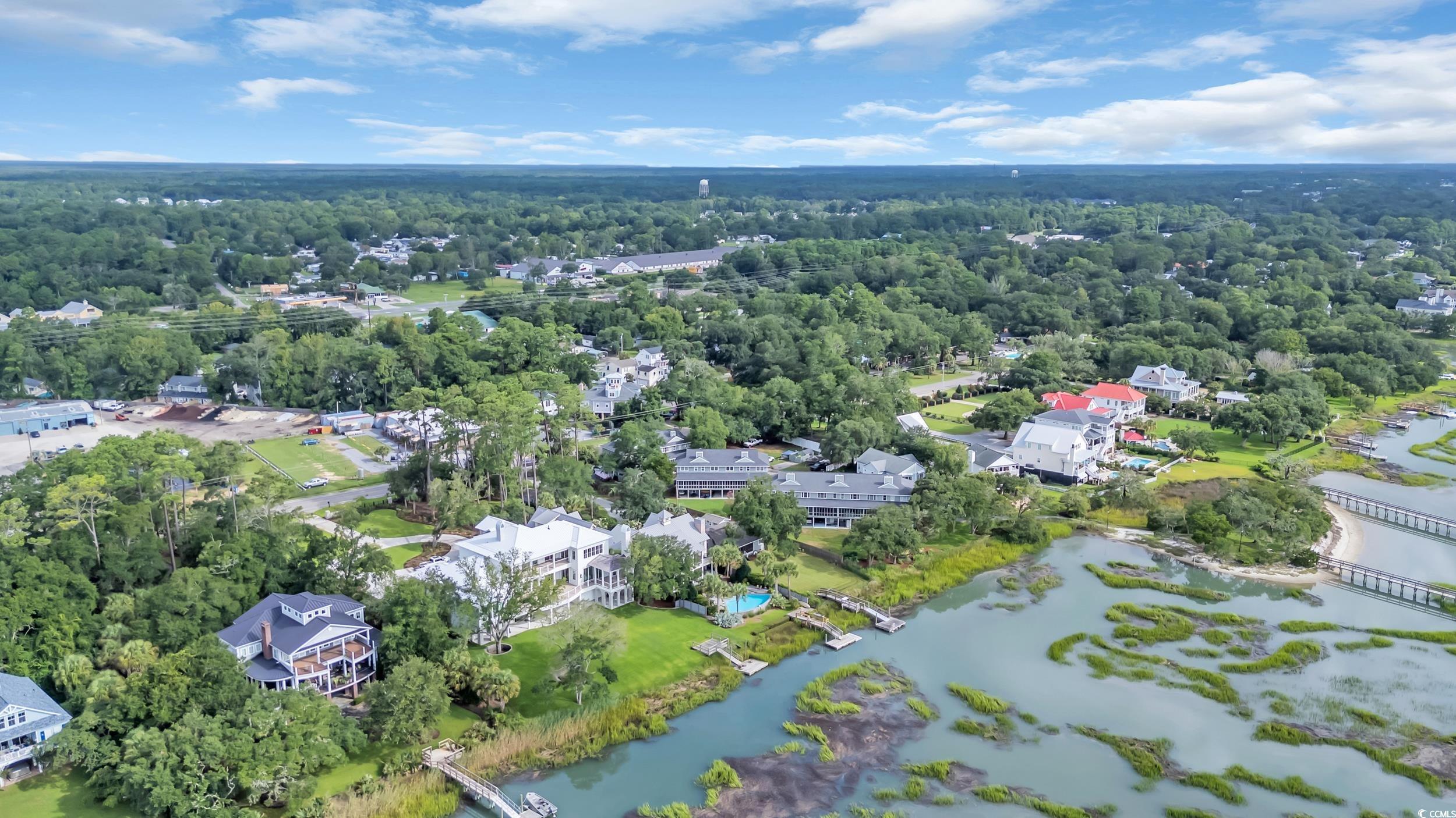 5137 Highway 17 Business, Unit 2B Murrells Inlet, SC 29576 - Photo 29 of 32 Bird's eye view of a heavily wooded area and a large body of water