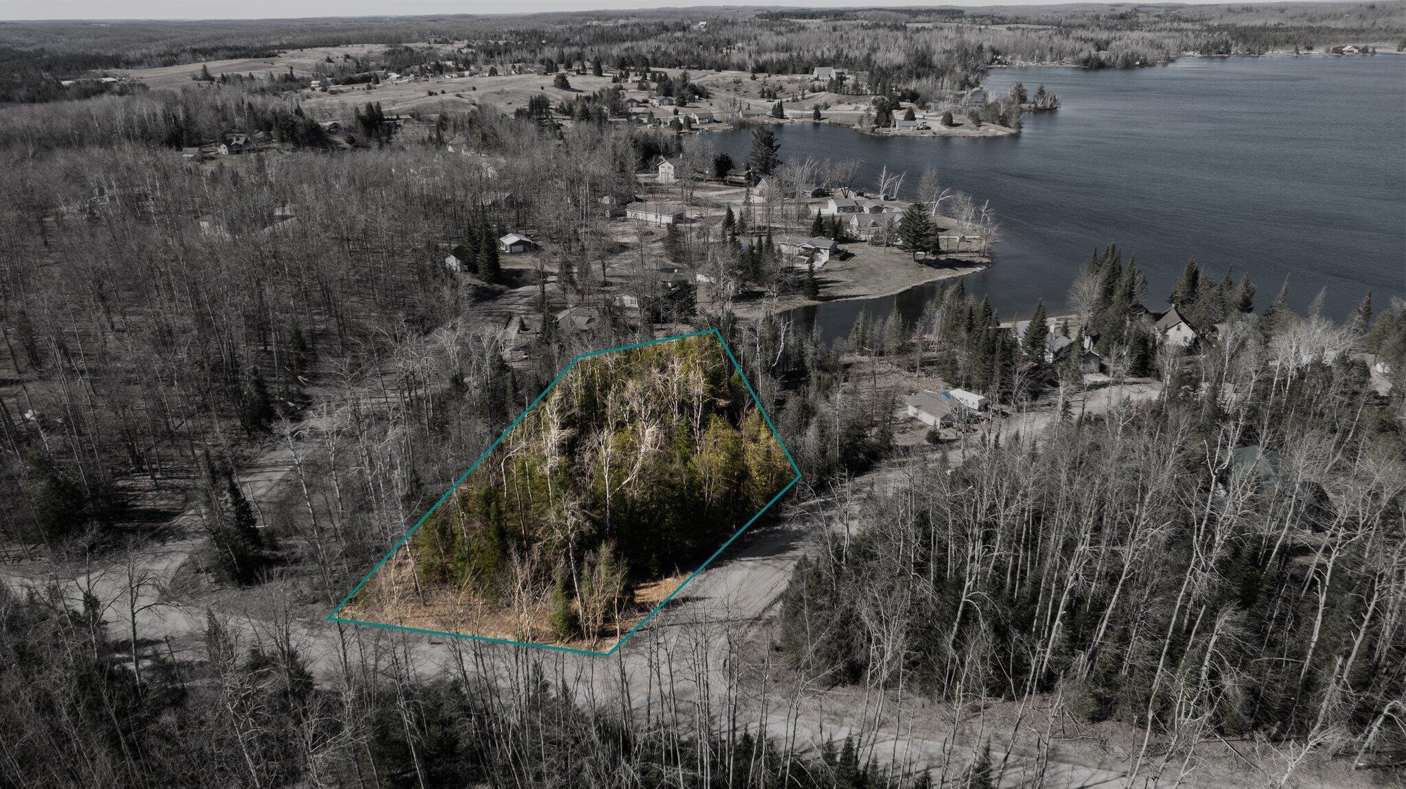 101-58 Lance Lake Road Wolverine, MI 49799 - Photo 18 of 19 Gallery Image 18