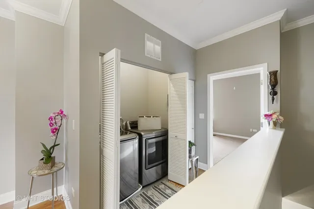 a kitchen with a refrigerator and a potted plant