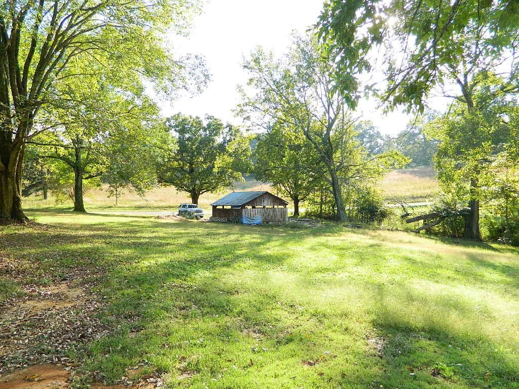 1180 Bennetts Road Huntingdon, TN 38344 - Photo 16 of 19 a view of a trees in a yard with large trees