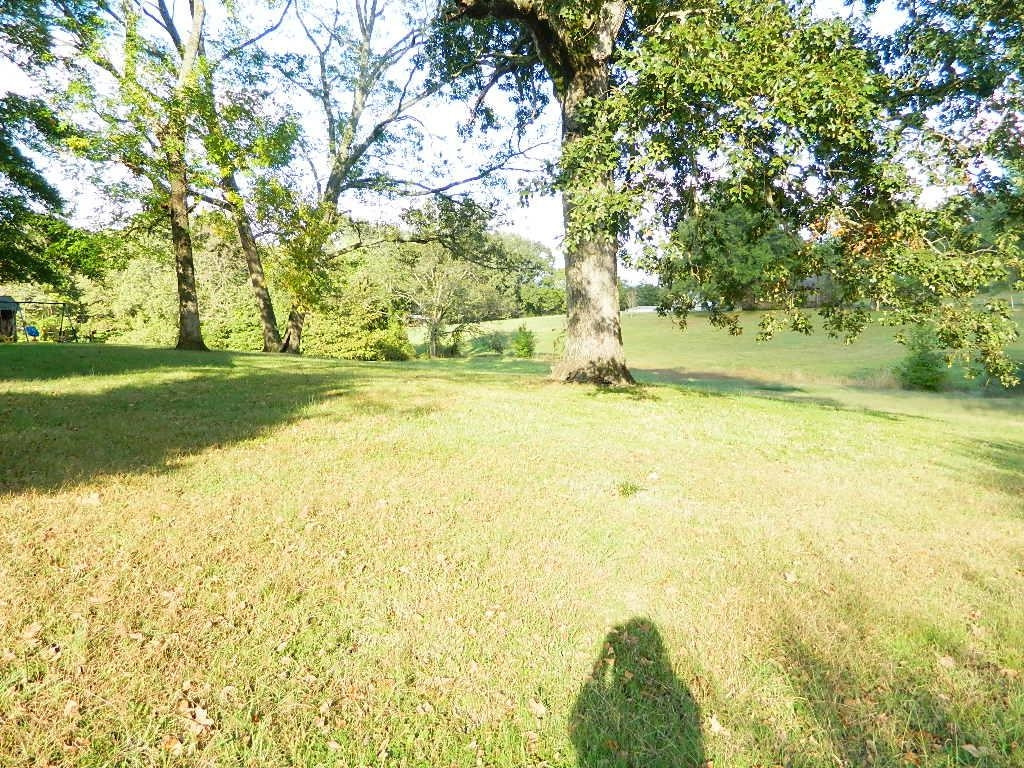 1180 Bennetts Road Huntingdon, TN 38344 - Photo 9 of 19 a yard with a trees in the background