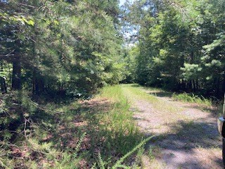 797 Woodbine Lane Ranger, GA 30734 - Photo 11 of 12