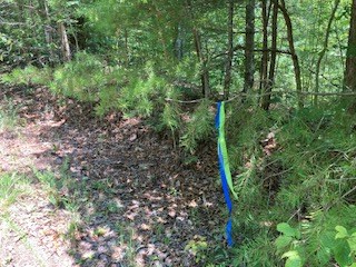 797 Woodbine Lane Ranger, GA 30734 - Photo 12 of 12