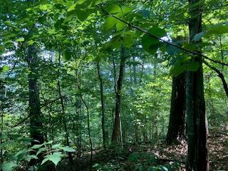 797 Woodbine Lane Ranger, GA 30734 - Photo 2 of 12