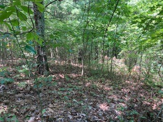 797 Woodbine Lane Ranger, GA 30734 - Photo 4 of 12