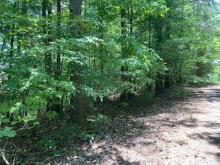 797 Woodbine Lane Ranger, GA 30734 - Photo 6 of 12